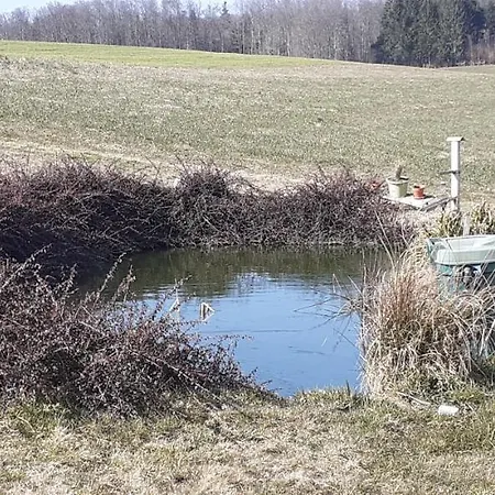 Chez Papy Bellefontaine (Vosges)