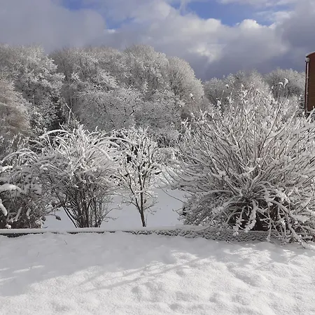 Chez Papy Bed & Breakfast Bellefontaine (Vosges)