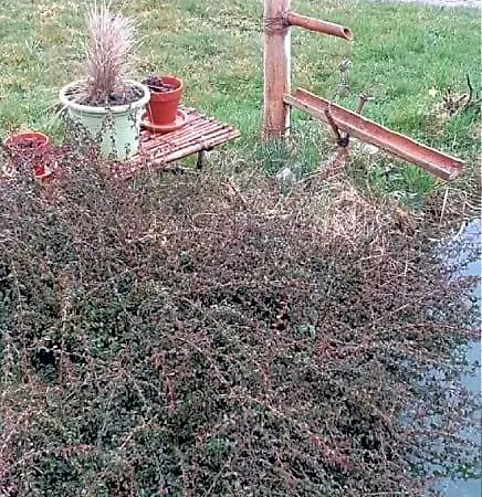 Chez Papy Frühstückspension 3*