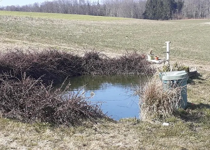Chez Papy Bellefontaine (Vosges)