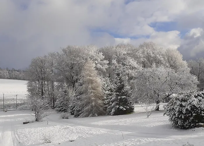 Bed & Breakfast Chez Papy *